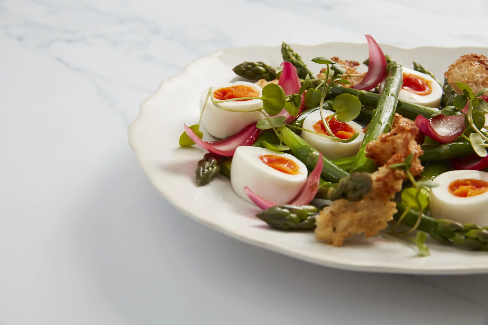 Beautifully plated salad